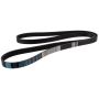 Motorcraft Accessory Belts for 2024 MUSTANG - PR3Z8620C