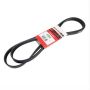 Motorcraft Accessory Belts 1F1Z8620AB