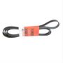 Motorcraft Accessory Belts 2C2Z8620DB