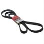 Motorcraft Accessory Belts 1C2Z8620PA
