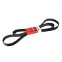 Motorcraft Accessory Belts 3C2Z8620BB