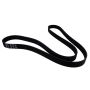 Motorcraft Accessory Belts for 2023-2024 F-150 - NR7Z8620A