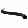 Motorcraft Radiator Hoses for 2019-2020 EDGE - J1GZ8260B
