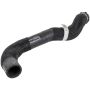 Motorcraft Radiator Hoses for 2024 MUSTANG - PR3Z8260B