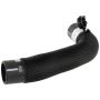 Motorcraft Radiator Hoses for 2024 MUSTANG - PR3Z8286B