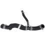 Motorcraft Radiator Hoses for 2024 MUSTANG - PR3Z8260D