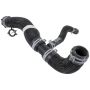 Motorcraft Radiator Hoses for 2024 MUSTANG - PR3Z8260D