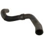 Motorcraft Radiator Hoses PZ1Z8260J