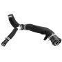 Motorcraft Radiator Hoses for 2024 MUSTANG - PR3Z8260E