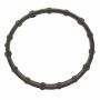Motorcraft Water Neck Gaskets and O-Rings 2L2Z8590A