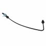 Motorcraft Hoses, Miscellaneous XL3Z19C828AA