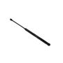 Mopar 55113748AA PROP, Hood