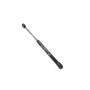 Mopar 68025360AA PROP, Hood