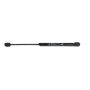 Mopar 68025360AA PROP, Hood