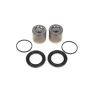 Mopar 68039506AA PISTON AND SEAL KIT, Disc Brake