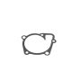 Mopar 68046028AA GASKET, Water Pump