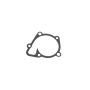 Mopar 68046028AA GASKET, Water Pump