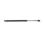 Mopar 68068261AA GAS CYLINDER, Liftgate Glass