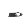 Mopar 68079850AB BEZEL, Fog Lamp