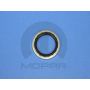 Mopar 68086127AA SEAL, Slim Line
