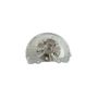 Mopar 68088498AD KNUCKLE AND HUB, Front