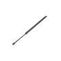 Mopar 68089035AD PROP, Liftgate
