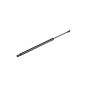 Mopar 68103073AD SUPPORT, LIFTGATE GAS CYLINDER