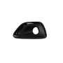 Mopar 68143078AB BEZEL, Fog Lamp