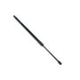 Mopar 68193936AA PROP, Liftgate