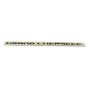Mopar 68235425AA NAMEPLATE, Front Door