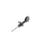 Mopar 68248726AD STRUT, Front Suspension