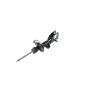 Mopar 68248727AD STRUT, Front Suspension