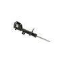 Mopar 68248734AF STRUT, Front Suspension