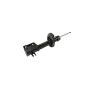Mopar 68257666AB STRUT, Front Suspension