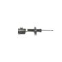 Mopar 68259677AB STRUT, Front Suspension