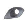 Mopar 68280429AA BEZEL, Fog Lamp