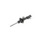 Mopar 68290230AB STRUT, Front Suspension