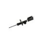 Mopar 68290232AB STRUT, Front Suspension