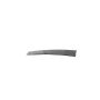 Mopar 68292935AC APPLIQUE, B Pillar