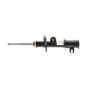 Mopar 68304339AA STRUT, Front Suspension