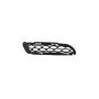 Mopar 68307813AA GRILLE, Fascia