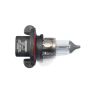 Mopar 68604855AA BULB, Headlamp