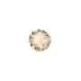 Mopar 6KF18SZ0AA CAP, Wheel Center