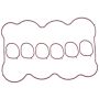 MAHLE MS16293 Fuel Injection Plenum Gasket Set