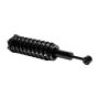 MANDO MSS050083 New Complete Strut Assembly, Direct Replacement