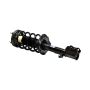 MANDO MSS050129 New Complete Strut Assembly, Direct Replacement