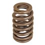 ACDelco GM Genuine Parts Engine Valve Springs 12706568