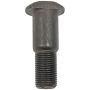 DORMAN 610-0360.5 3/4 In.- 16 Clipped Head- 0.878 In. Body Diameter 2.39 In. Length