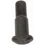 DORMAN 610-0360.5 3/4 In.- 16 Clipped Head- 0.878 In. Body Diameter 2.39 In. Length