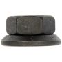 DORMAN 611-0102.10 7/8-14 Flanged Cap Nut - 1-5/16 In. Hex, 0.88 In. Length